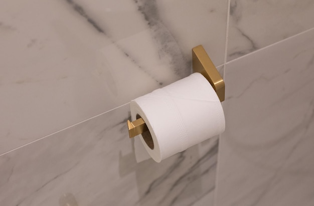 roll of toilet paper on the wall