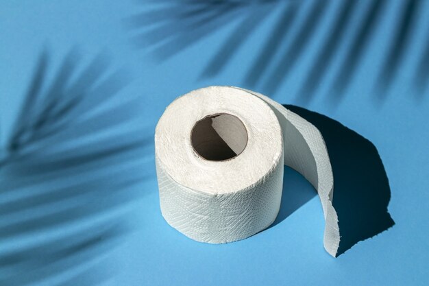 Roll of a white toilet paper isolated on a blue background
under a palm tree shadow