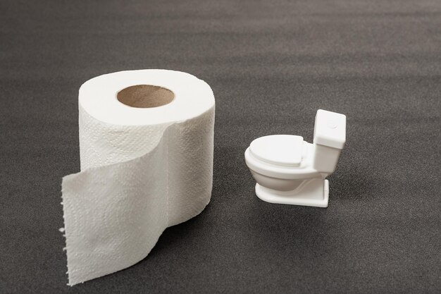 Roll of white toilet paper and small toy toilet bowl on gray background Ecofriendly recycled toilet paper