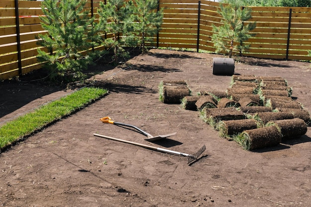 Foto rollen gazongras op zonnig landhuis en landschapsontwerp