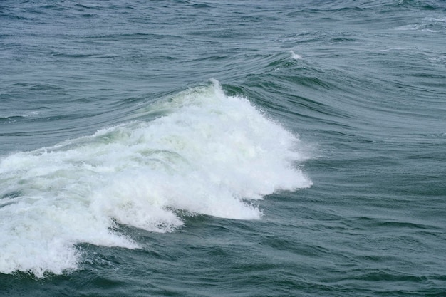 Rollende golven tijdens storm in Oostzee