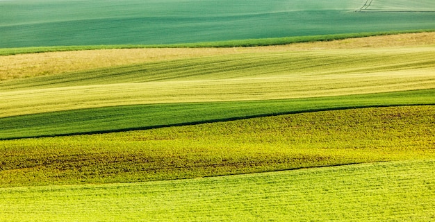 rolling fields