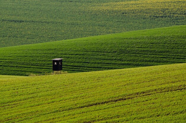 Rolling green hills with fields suitable for backgrounds or wallpapers natural seasonal landscape Southern Moravia Czech republic