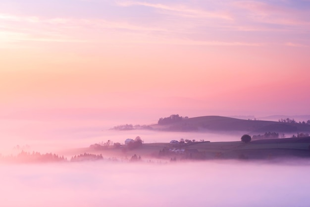 秋の日の出の霧の中でなだらかな丘陵ピンクのパステル カラー
