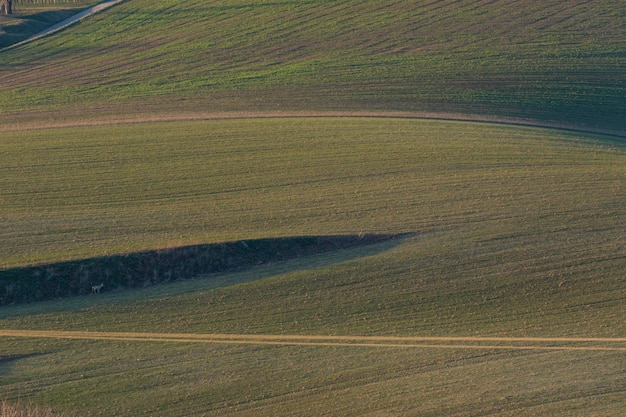 Rolling Hills South Moravia Czech Republic