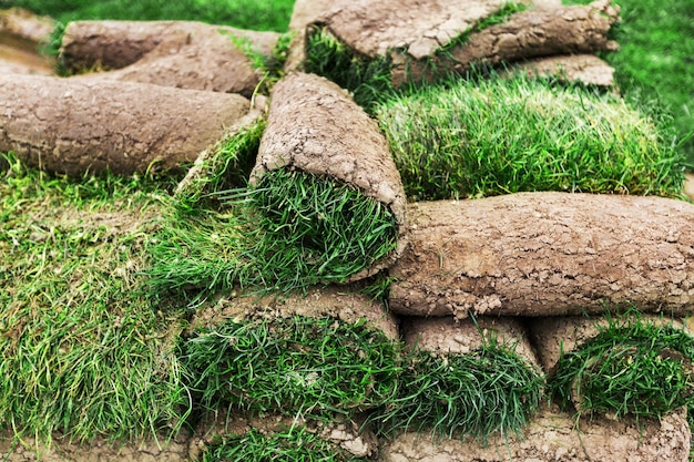 Rolls of fresh grass turf ready to be used for gardening