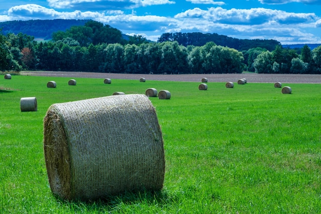 干し草の俵と農村フィールド収穫小麦風景に干し草の山ストローをロールバックします。