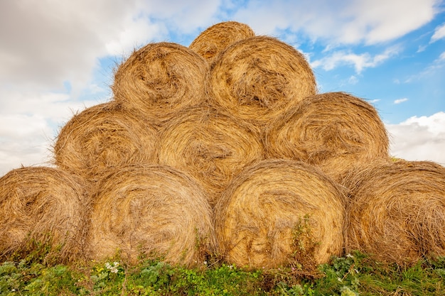 写真 干し草のロールが積み上げられました