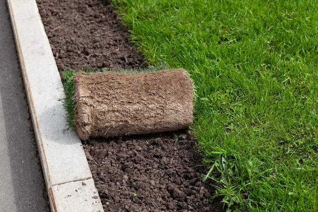 Rollup gazon Landscaping van grondgebied in het park Rol van turf of turfgrass close-up