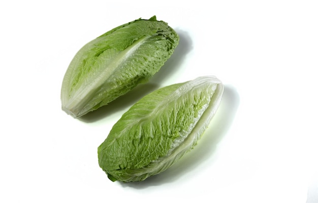 romaine lettuce isolated on white