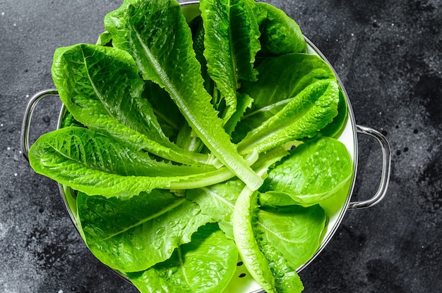 Romaine lettuce salad in a colander