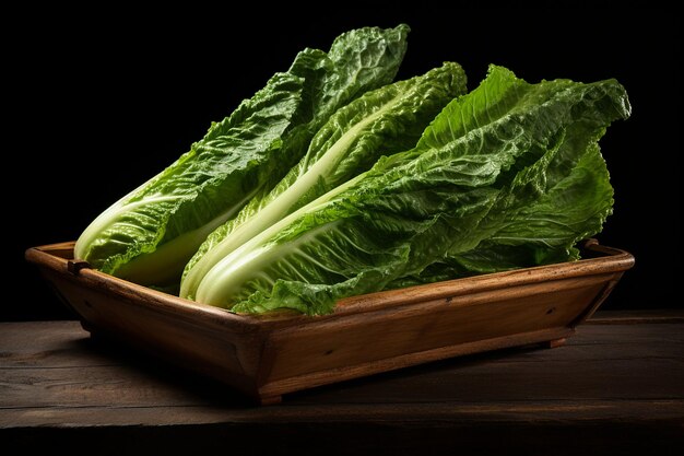 Romaine Lettuce in Vegan Dish Quick Snack