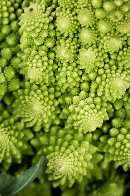 Roman cauliflower geometry details