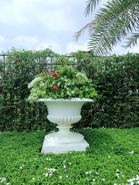 Roman flower style ornamental pot in the garden