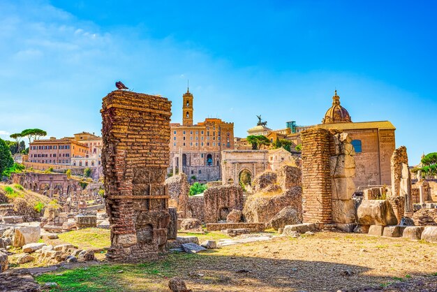 Photo roman forum ancient beautiful incredible rome where every place is filled with history