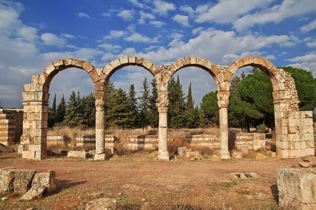 Roman ruïnes in anjar, libanon