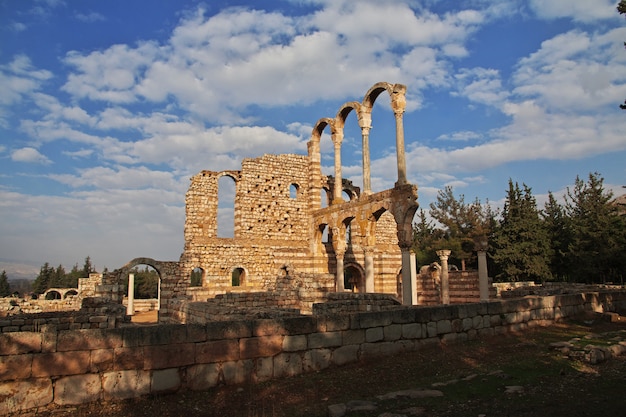 Roman ruïnes in Anjar, Libanon