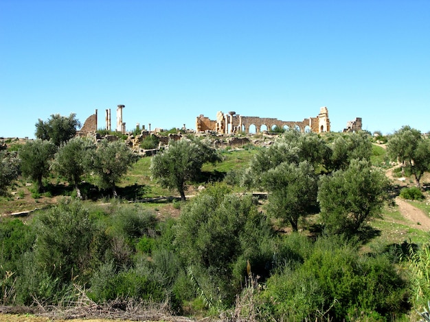 Римские руины в Volubilis Марокко