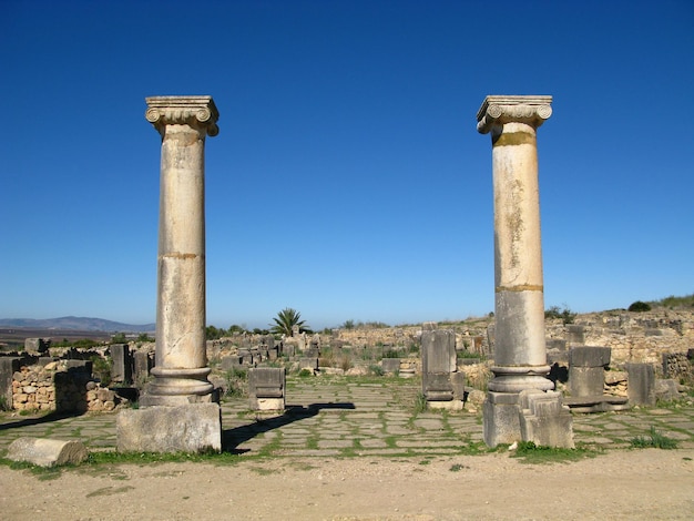 Римские руины в Volubilis Марокко