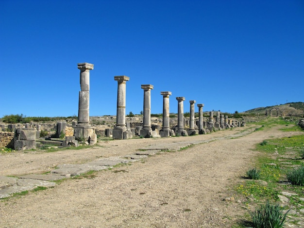 Римские руины в Volubilis Марокко