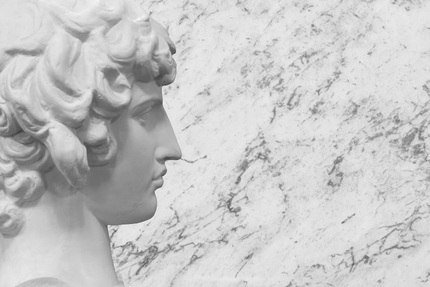 Roman sculpture on a gray background bust of a man