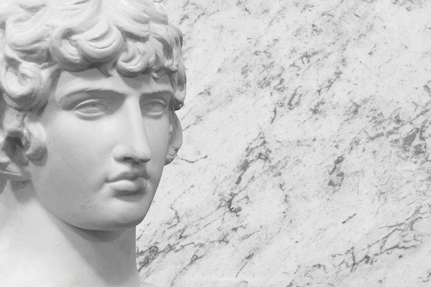 Roman sculpture on a gray background bust of a man