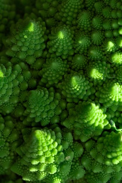 Romanesco cabbage