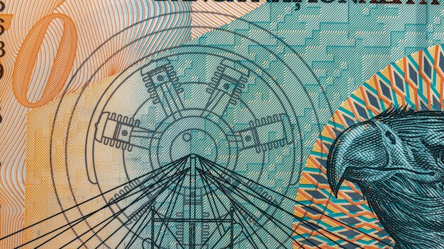 ルーマニアのLEI通貨 紙幣 RON お金 欧州通貨