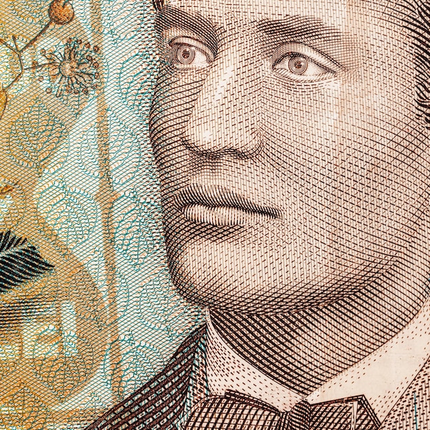 ルーマニアのLEI通貨 紙幣 RON お金 欧州通貨