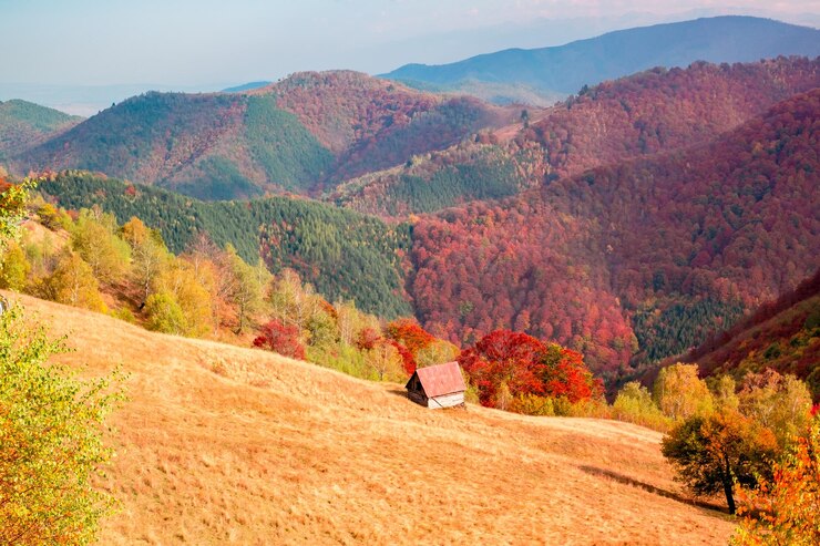 Photo 가을의 루마니아 산맥: cinderella 산맥, palatinate 산맥, sibiu 산맥, 중부 루마니아