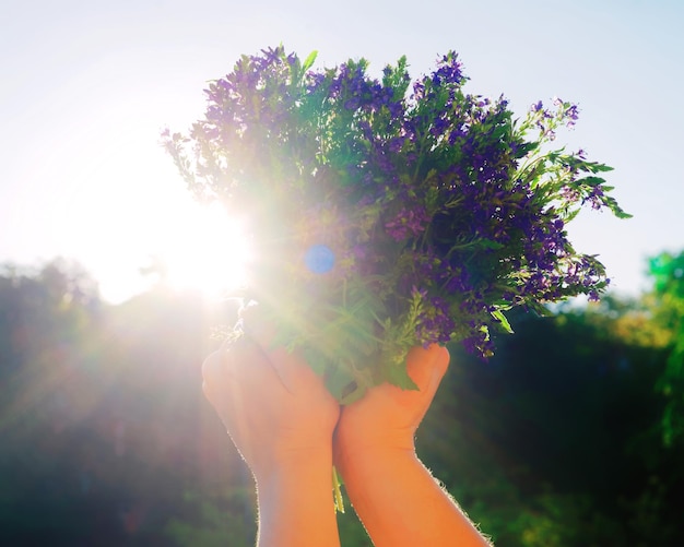 Photo romantic bunch of violet field flowers in the girl hands.