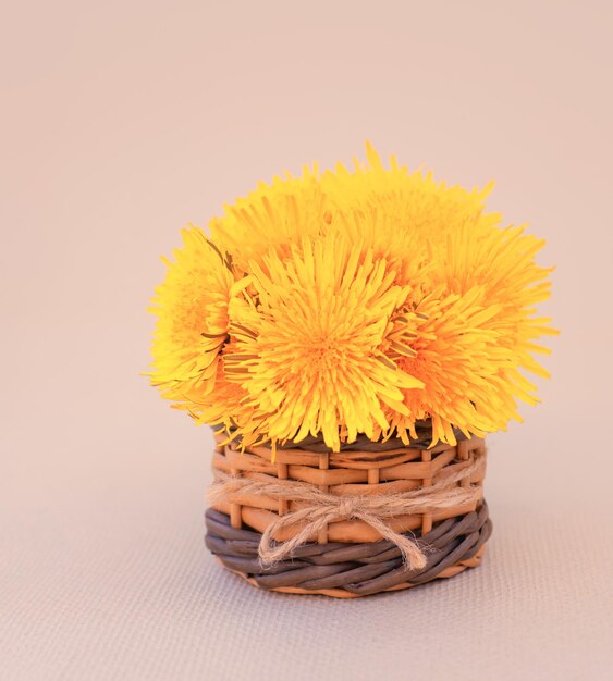 Romantic card with a bouquet of tender spring fluffy yellow dandelions closeup