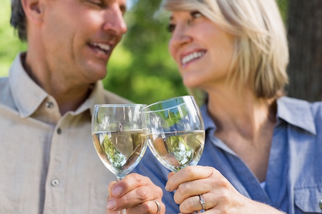 Romantic couple toasting wine glasses