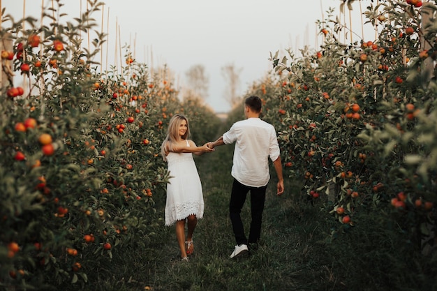 Romantic couple walks in the apple orchard in summer and holding hands.