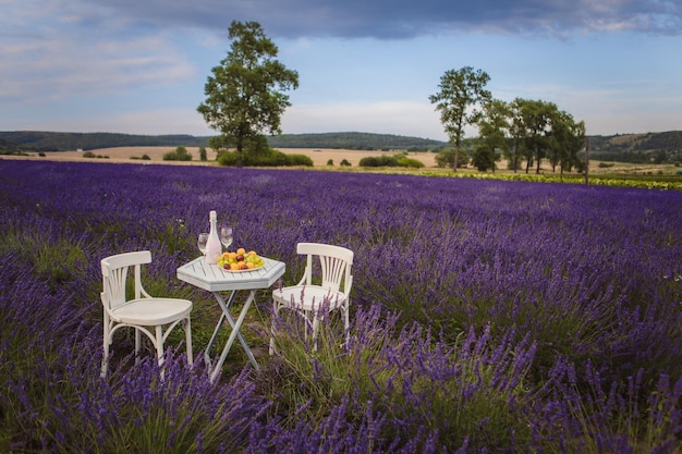 Romantic date on lavender field