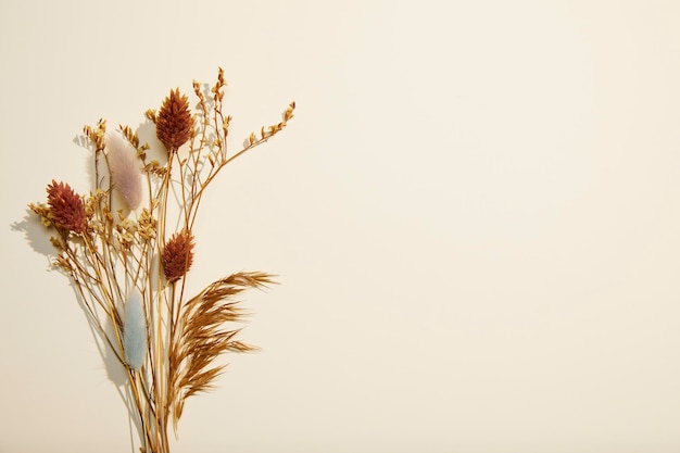 Photo romantic dried flowers on a solid background