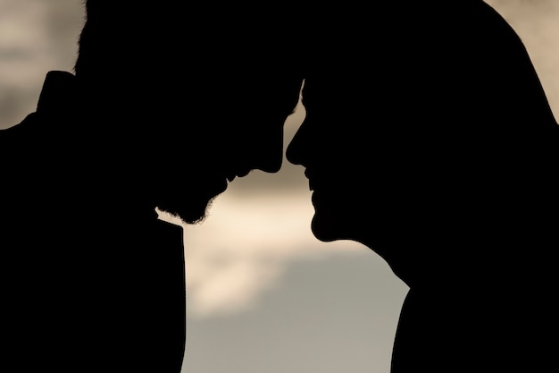 Romantic partners silhouettes side view