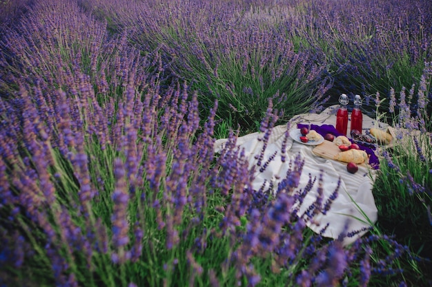 Picnic romantico nello spazio della copia del campo di lavanda