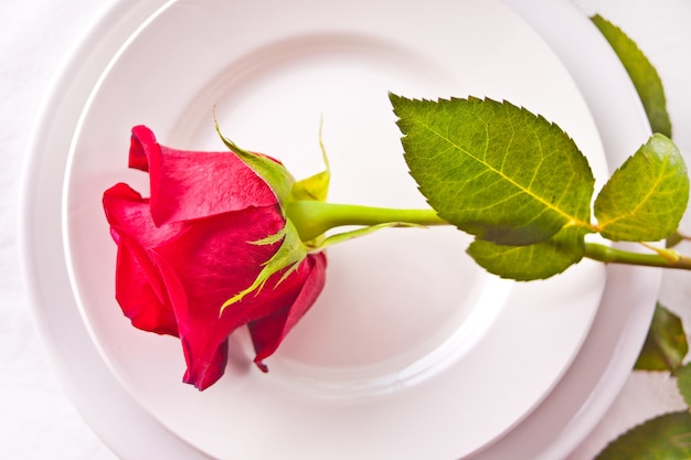 접시에 장미와 두 로맨틱 레스토랑 테이블 설정입니다.
