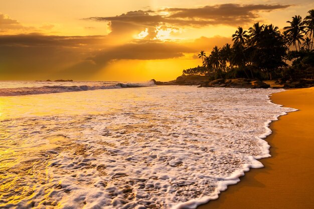 Romantic sunset on a tropical beach with palm trees Vacation at sea