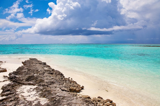 Romantic tropical island nature ocean lanscape