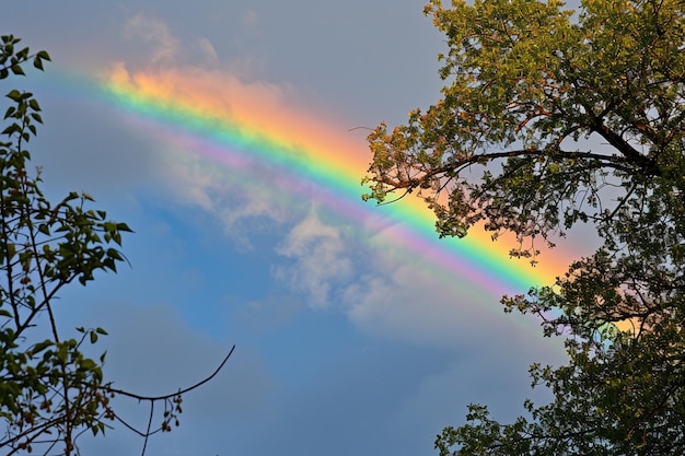 Romantiek in regenbogen Lente Valentijnsdag