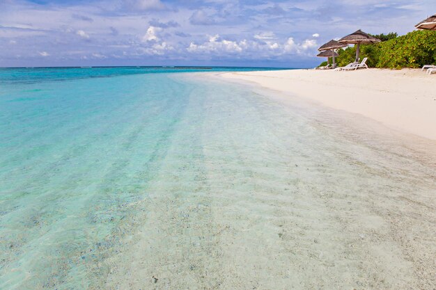 Romantisch tropisch eiland natuur oceaan landschap