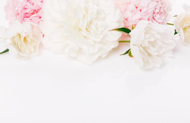Romantische banner delicate witte pioenrozen bloemen close-up Geurige roze bloemblaadjes abstracte romantiek achtergrond pastel en zachte bloem kaart