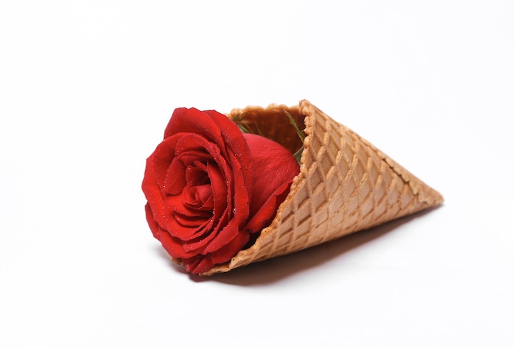 Foto romantische liefde valentijnsdag concept waffelkegel met rode roos geïsoleerd op witte achtergrond