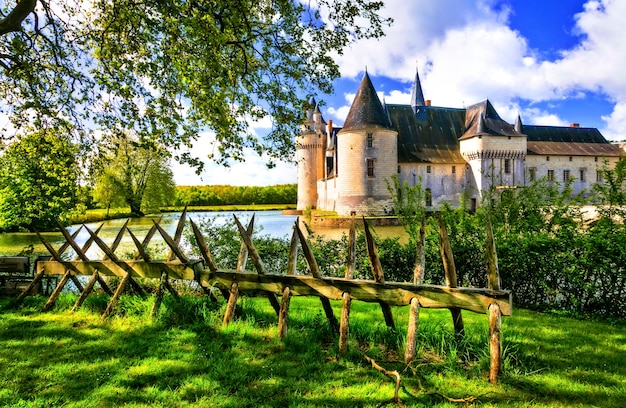 Romantische middeleeuwse kastelen van de Loire-vallei, het mooie Le Plessis Bourre. Frankrijk