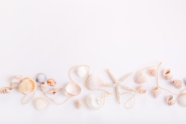 Romantische samenstelling van exotische schelpen oester zeester en witte rozen op witte achtergrond tropische zomervakantie of verjaardag bruiloft dag concept plat lag bovenaanzicht Marine design
