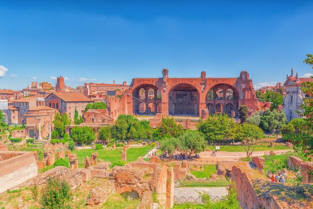 ROME ITALY  MAY 08 2017  Archaeological and historical objects in Rome united by the name  Roman Forum and Palatine Hill Basilica of Maxentius Basilica di Massenzio