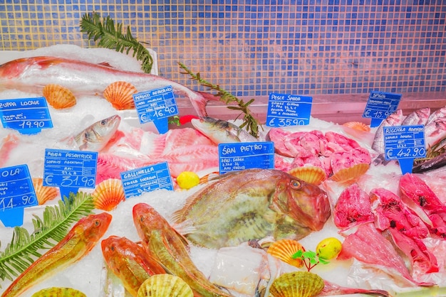 Rome italy may 10 2017 shop spermarket counter with dry forehead and seafood on it fish shrimp langoustines crabs squid seashells mussels oysters italy