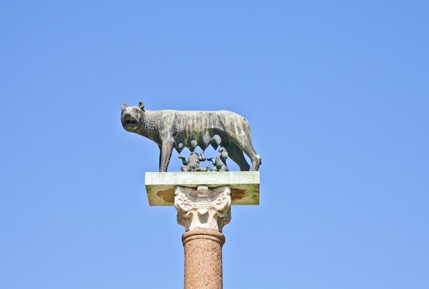 Romulus en remus zijn de tweelingstichters van rome in zijn traditionele stichtingsmythe